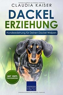 Dackel erziehung - dackel,