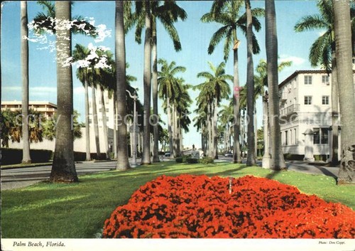 Palm beach royal way - palm,