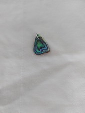 Anhänger aus echter Abalone