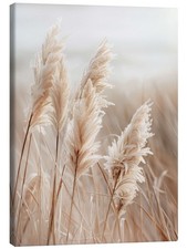 Leinwandbild Pampasgras am