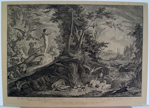 Johann elias ridinger - elias,