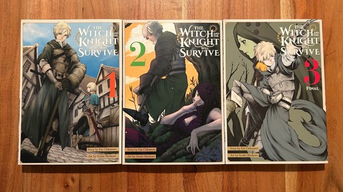 The witch and knight - witch,