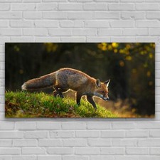 Wandbilder Glasbild Groß