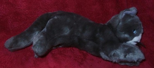 Ikea katze minnen katt - katt, cat