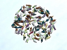 ca. 100 stehende & sitzende