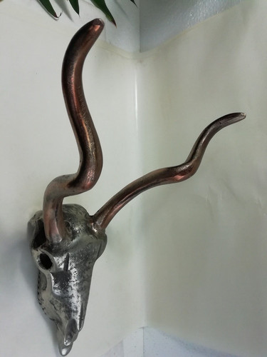 Skull schädel trophäe - skull,