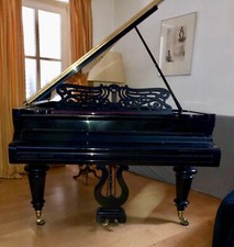 Grotrian steinweg flügel - grotrian,