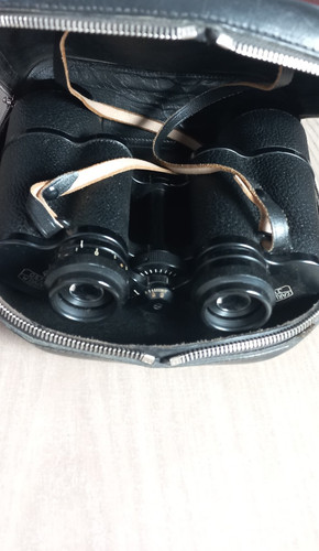 Carl zeiss jena - jena, 10x50