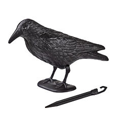 Vogelscheuche Rabe Krähe