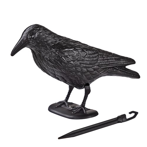 Vogelscheuche rabe krähe - rabe,