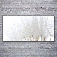 Acrylglasbilder Wandbilder