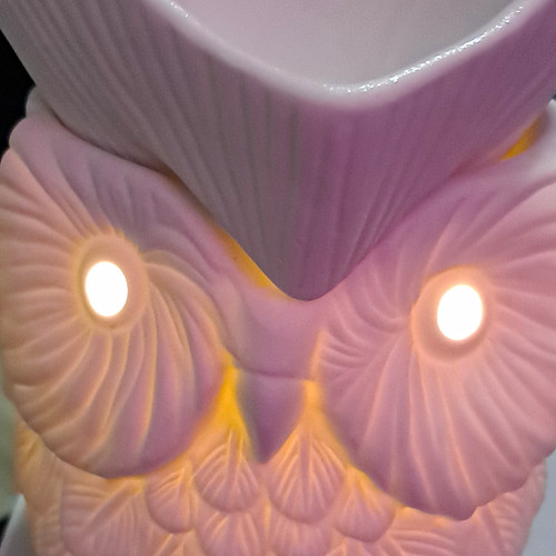 Scentsy home whoot duftlampe - scentsy,
