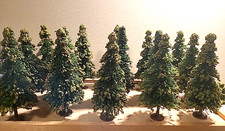 15 alte Tannen Bäume auf