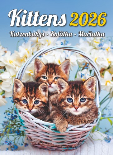 Kalender kittens 2026 24 - 2026, x