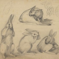 Unbekannt Hasenstudien Tiere