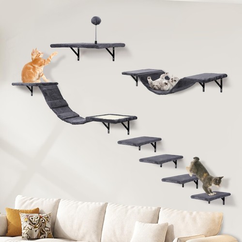 Katzen kletterwand set - katzen,
