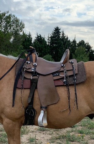Westernsattel guido netzer - westernsattel,