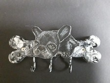 Französische Bulldogge