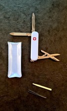 Wenger Esquire Neu hellblau