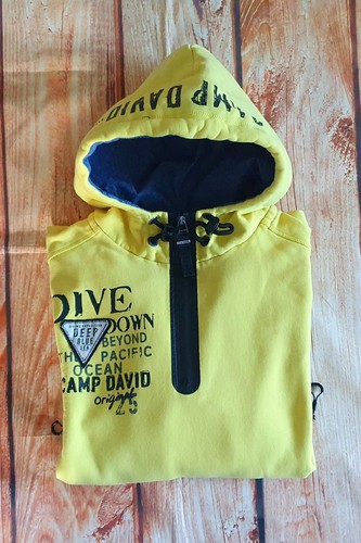 Camp david hoodie pullover - camp,