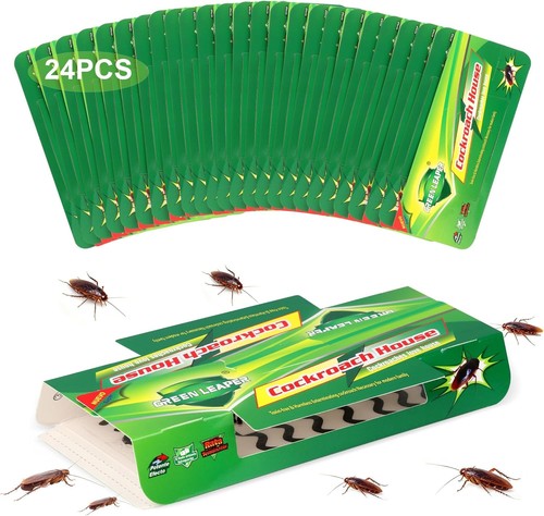 24x schabenfalle - 24x,
