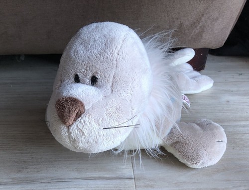 Nici seehund robbe - nici,, seehund,