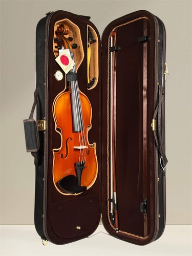 Gewa maestro violine - maestro, –