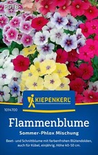 Kiepenkerl Flammenblumensamen