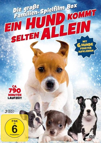Ein hund kommt selten - hund,