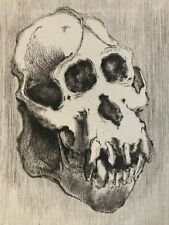 Schöne Gravur Affenkopf