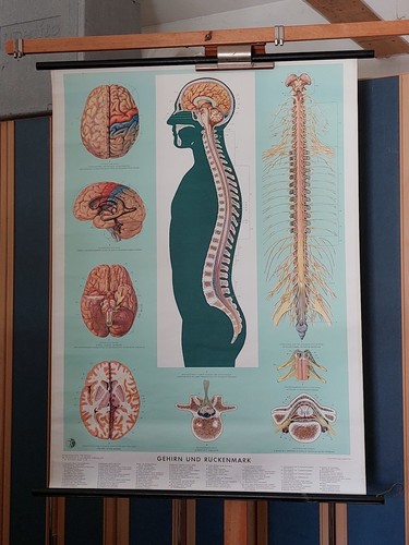 Schulwandkarte lehrtafel - schulwandkarte,