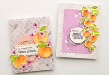 Stampin Up Stempelset SÜSSE