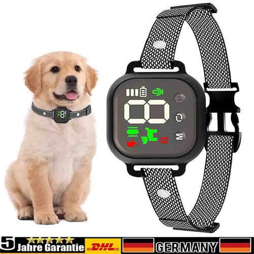 Stufen hund ausbildung - 8-stufen,