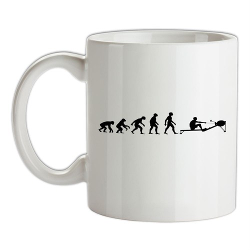 Evolution man rudergerät - evolution,