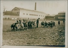 Foto Tauziehen, Kinder, Sport - 11311124