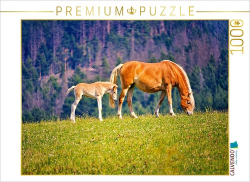 Calvendo puzzle haflinger - calvendo,