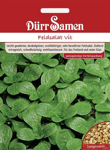 Feldsalat vit - feldsalat,