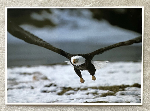Postkarte amerikanischer - 1, ak