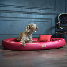 tierlando® Orthopädisches