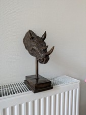 Nashornkopf Nashornschädel