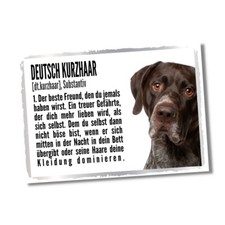 Deutsch Kurzhaar Duden Hund