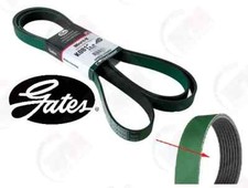 K081243HD Gates Serpentine