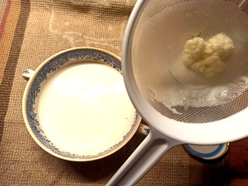 Kefir pilze milchkefir - kefir-pilze,,
