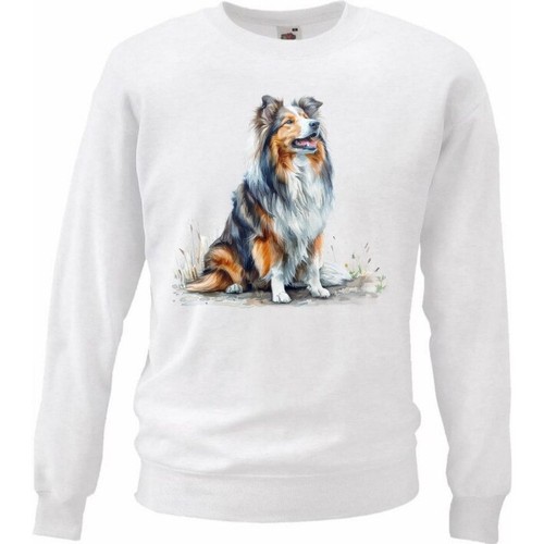 Sweatshirt sweater - sweatshirt,