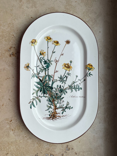 Villeroy boch botanica - villeroy,
