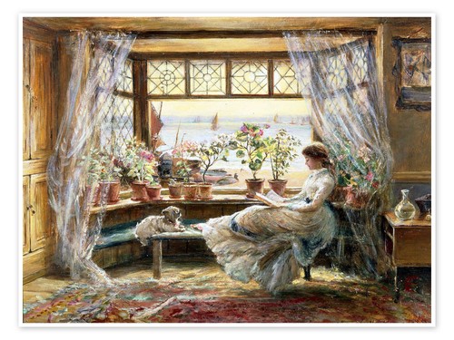 Poster lesende fenster - poster,