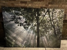 IKEA Premiar Large Canvas Wall