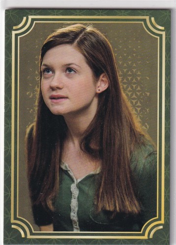 Panini harry potter evolution - potter,