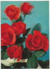80/429 AK BLUMEN - ROSEN - RED ROSES - 3-D EFFEKT foliert 