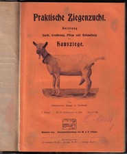 antik Buch von 1909 Lang